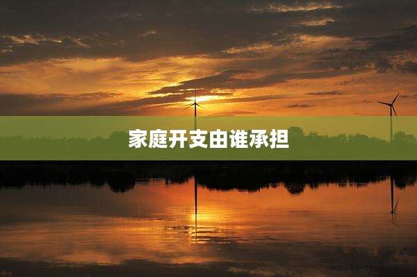 家庭开支由谁承担