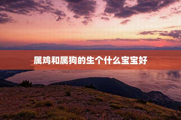 属鸡和属狗的生个什么宝宝好