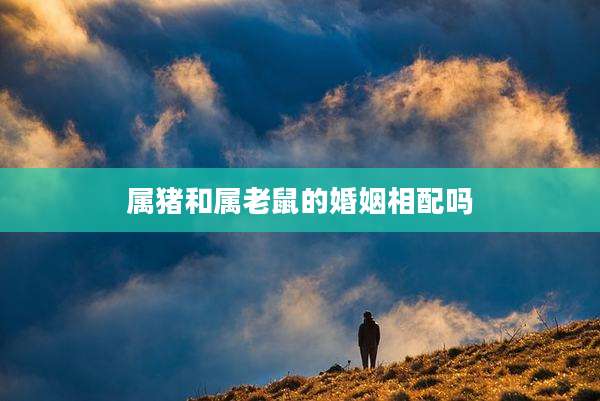 属猪和属老鼠的婚姻相配吗