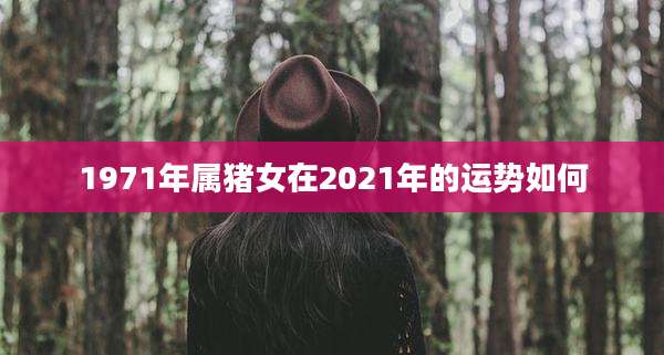 1971年属猪女在2021年的运势如何