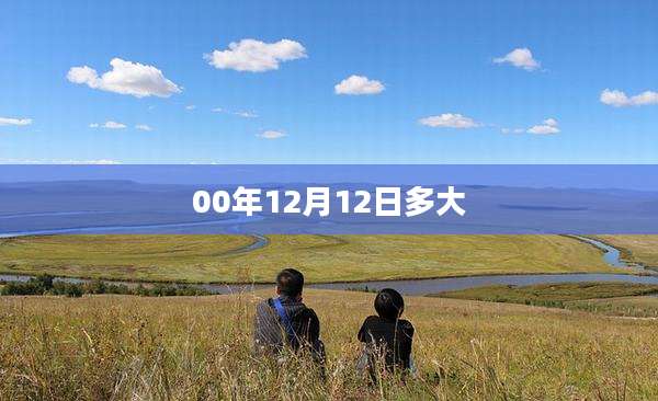 00年12月12日多大