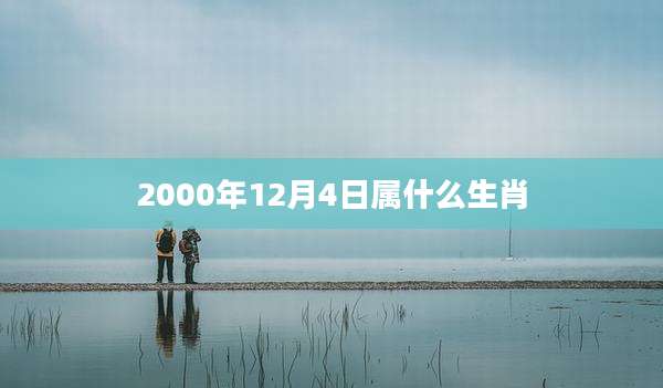 2000年12月4日属什么生肖