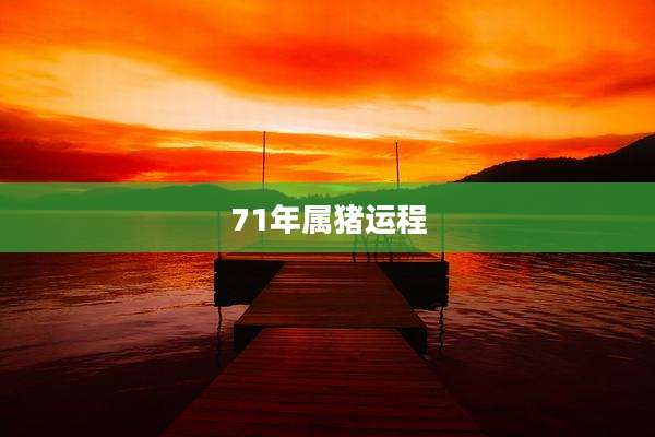 71年属猪运程