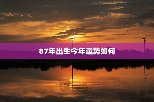 87年出生今年运势如何