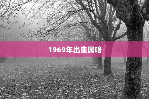 1969年出生属啥