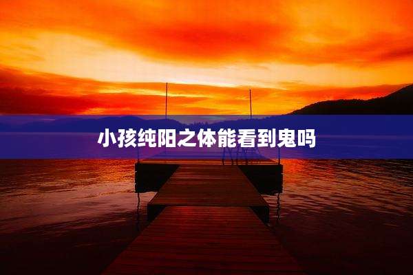 小孩纯阳之体能看到鬼吗