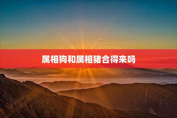 属相狗和属相猪合得来吗