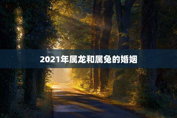 2021年属龙和属兔的婚姻