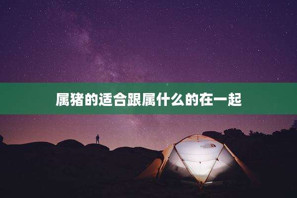 属猪的适合跟属什么的在一起
