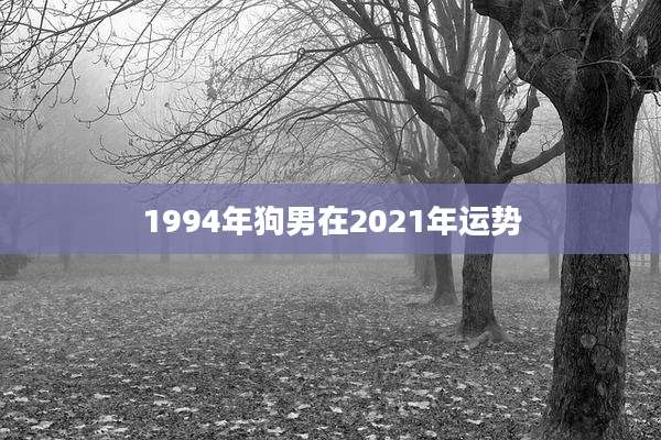 1994年狗男在2021年运势