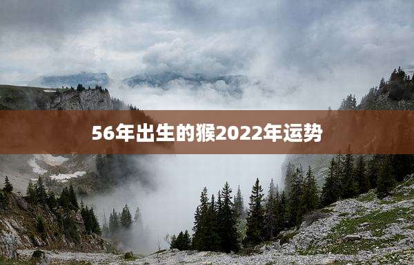 56年出生的猴2022年运势