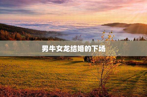 男牛女龙结婚的下场