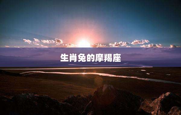 生肖兔的摩羯座