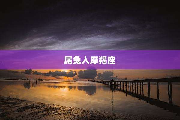 属兔人摩羯座