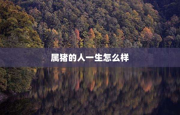 属猪的人一生怎么样