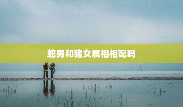 蛇男和猪女属相相配吗