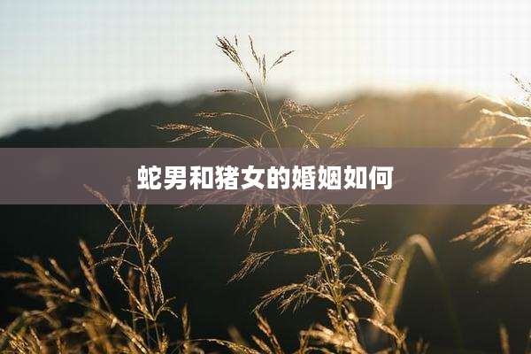 蛇男和猪女的婚姻如何
