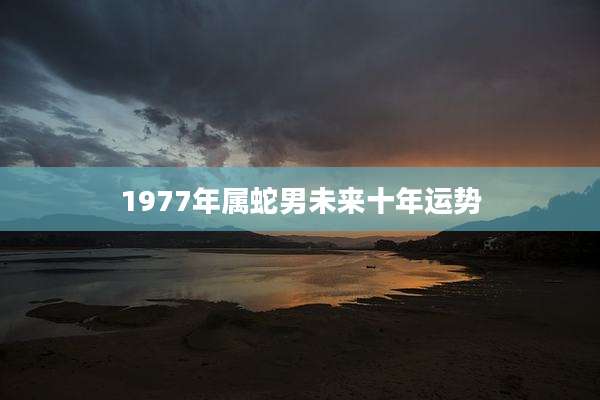 1977年属蛇男未来十年运势