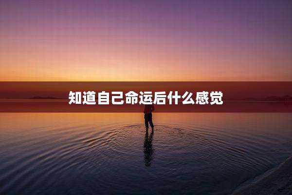 知道自己命运后什么感觉