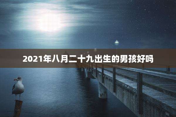 2021年八月二十九出生的男孩好吗