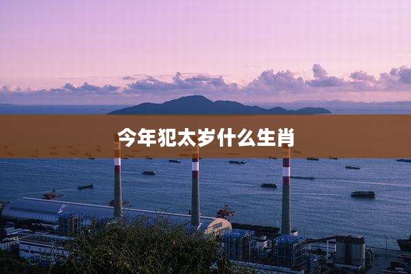 今年犯太岁什么生肖