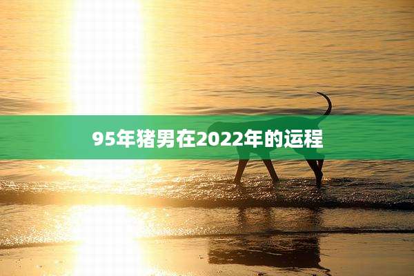 95年猪男在2022年的运程