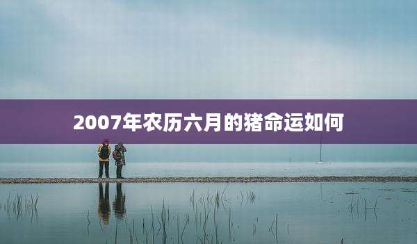 2007年农历六月的猪命运如何