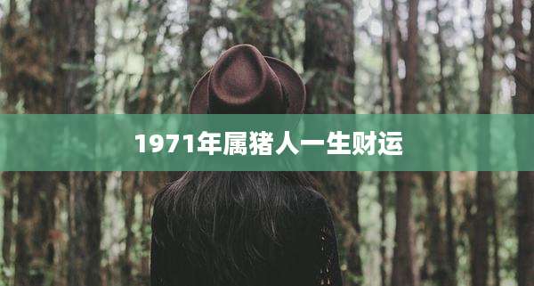 1971年属猪人一生财运