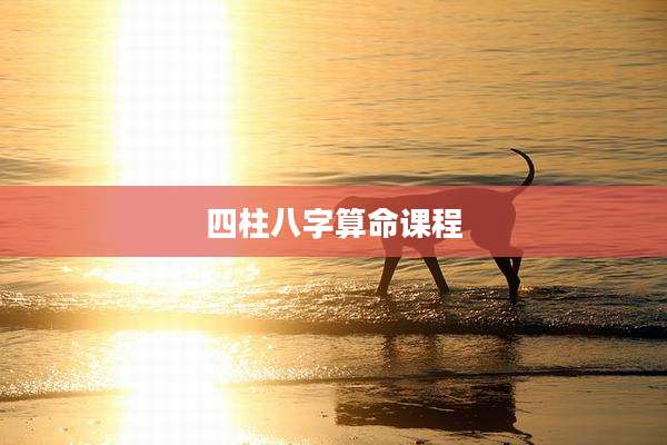 四柱八字算命课程