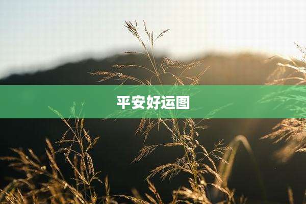平安好运图