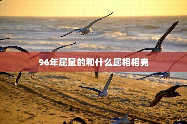 96年属鼠的和什么属相相克