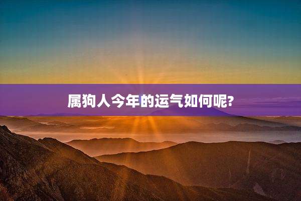 属狗人今年的运气如何呢?