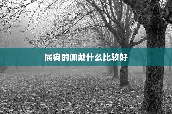 属狗的佩戴什么比较好