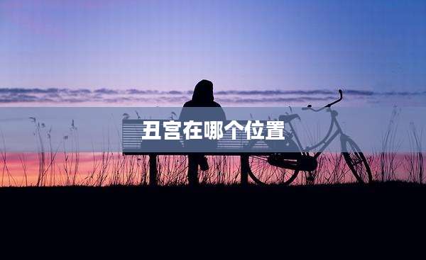 丑宫在哪个位置