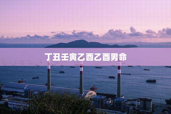 丁丑壬寅乙酉乙酉男命