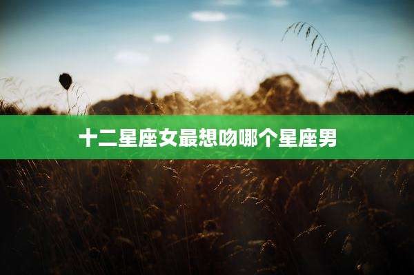 十二星座女最想吻哪个星座男