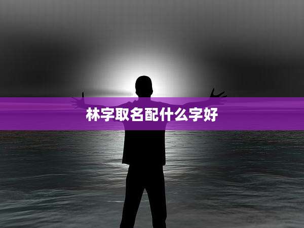 林字取名配什么字好