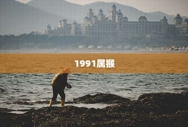 1991属猴