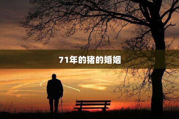 71年的猪的婚姻