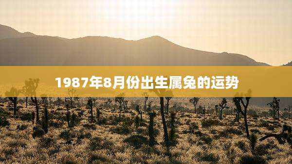 1987年8月份出生属兔的运势