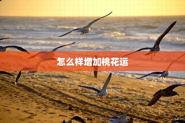 怎么样增加桃花运