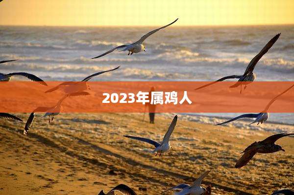 2023年属鸡人