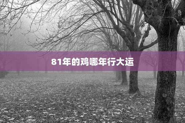 81年的鸡哪年行大运