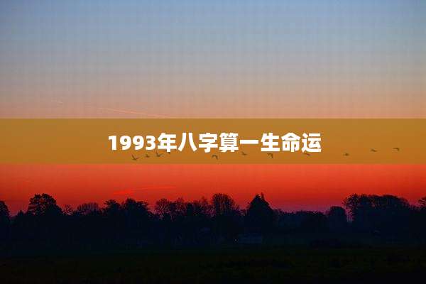 1993年八字算一生命运
