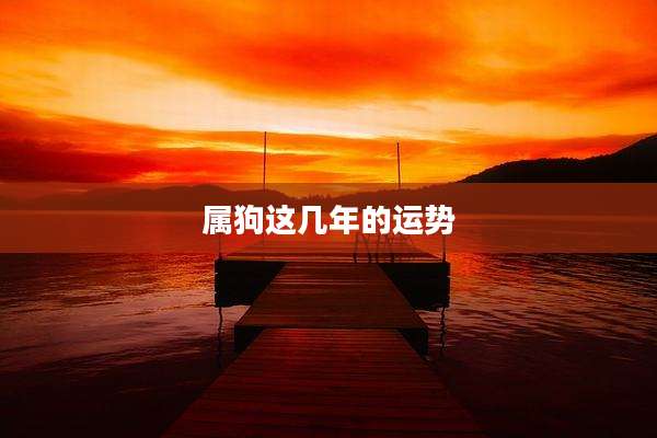 属狗这几年的运势