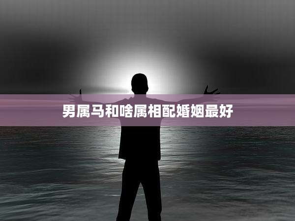 男属马和啥属相配婚姻最好