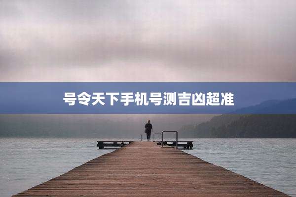 号令天下手机号测吉凶超准