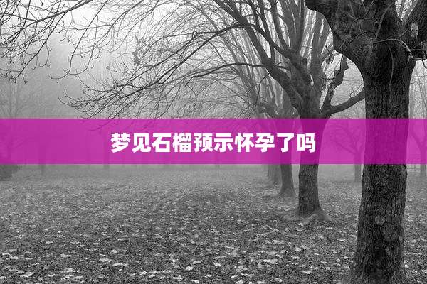 梦见石榴预示怀孕了吗
