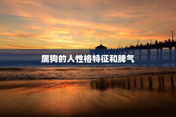 属狗的人性格特征和脾气