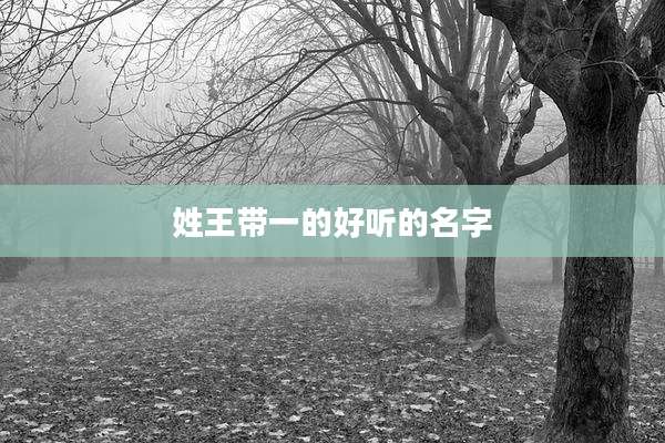 姓王带一的好听的名字